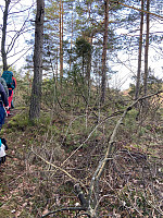 Nina2412hauge_20230212_63e8ea2f47277.jpg