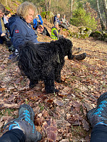 Nina2412hauge_20230212_63e8ea2fdbc6b.jpg
