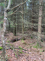 Nina2412hauge_20230212_63e8ea3406442.jpg
