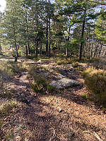Nina2412hauge_20230212_63e8ea367dabc.jpg