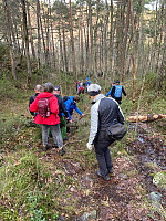 Nina2412hauge_20230212_63e8ea39df038.jpg
