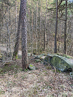 Nina2412hauge_20230212_63e8ea3b7c3b9.jpg