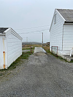 Nina2412hauge_20230513_645f659e6d55e.jpg