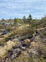 Nina2412hauge_20230514_6460dfc9a5a08.jpg