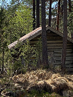 Nina2412hauge_20230521_646a443bf1e5c.jpg