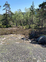 Nina2412hauge_20230521_646a443f79224.jpg