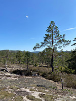 Nina2412hauge_20230521_646a44400b0a0.jpg