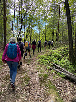 Nina2412hauge_20230529_6474c6f6916a4.jpg