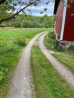 Nina2412hauge_20230529_6474c6fd3be52.jpg