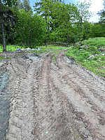 Nina2412hauge_20230529_6474c6fe5372d.jpg