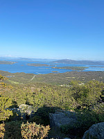 Nina2412hauge_20230608_64821c017dcaa.jpg