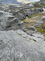 Nina2412hauge_20230610_6484ce67c668c.jpg