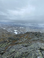 Nina2412hauge_20230713_64afdce501f16.jpg
