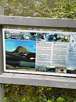 Nina2412hauge_20230713_64b007553135f.jpg