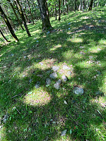 Nina2412hauge_20230727_64c29c8f65d0e.jpg
