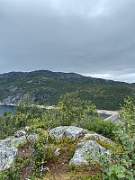 Nina2412hauge_20230813_64d8c8d20243f.jpg