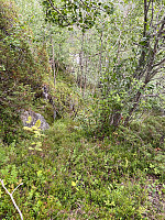 Nina2412hauge_20230813_64d8c8d353c1e.jpg