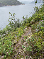 Nina2412hauge_20230813_64d8c8d4114ff.jpg