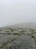Nina2412hauge_20231014_652a7cdfd9aa9.jpg