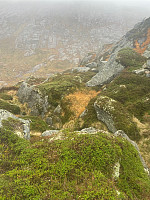 Nina2412hauge_20231014_652a7ce060506.jpg