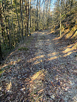 Nina2412hauge_20240316_65f5c586a83ae.jpg