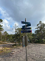 Nina2412hauge_20240429_662fd57d3fda3.jpg