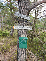 Nina2412hauge_20240429_662fd57dba8d0.jpg