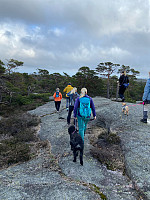 Nina2412hauge_20240429_662fd57e56613.jpg