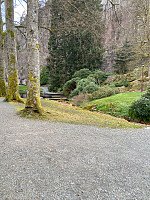 Nina2412hauge_20240429_662fd57f7d76a.jpg
