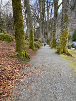 Nina2412hauge_20240429_662fd58015cd8.jpg