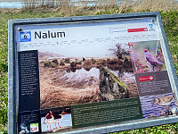 Nina2412hauge_20240504_66364b56b2b6a.jpg