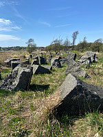 Nina2412hauge_20240504_66364b57441b7.jpg