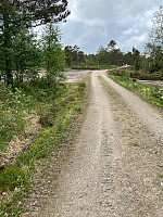 Nina2412hauge_20240526_665320753ba6c.jpg