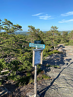 Nina2412hauge_20240603_665e0c59b84f3.jpg
