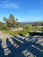 Nina2412hauge_20240603_665e0c5bc6314.jpg