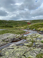 Nina2412hauge_20240630_668164239bb7c.jpg