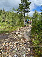 Nina2412hauge_20240630_668164289db13.jpg