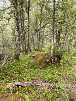 Nina2412hauge_20240713_6692aae20f689.jpg