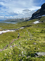 Nina2412hauge_20240715_66954be119d00.jpg