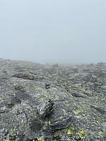 Nina2412hauge_20240716_6696a4075a048.jpg