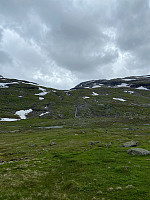 Nina2412hauge_20240716_6696a409f404e.jpg