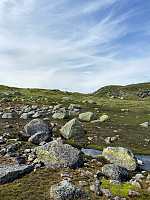 Nina2412hauge_20240718_669947932f07b.jpg