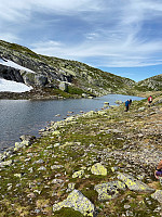 Nina2412hauge_20240718_669947955ef23.jpg