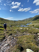 Nina2412hauge_20240720_669be54a086f9.jpg