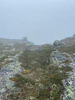 Nina2412hauge_20240806_66b22e60cab19.jpg