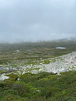 Nina2412hauge_20240806_66b22e615b7cb.jpg