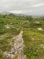 Nina2412hauge_20240806_66b22e626e6f7.jpg