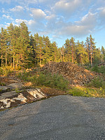 Nina2412hauge_20240818_66c23b96ceebc.jpg