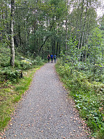 Nina2412hauge_20240819_66c37e9f8066b.jpg