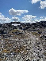 Nina2412hauge_20240822_66c6f1d5ed495.jpg